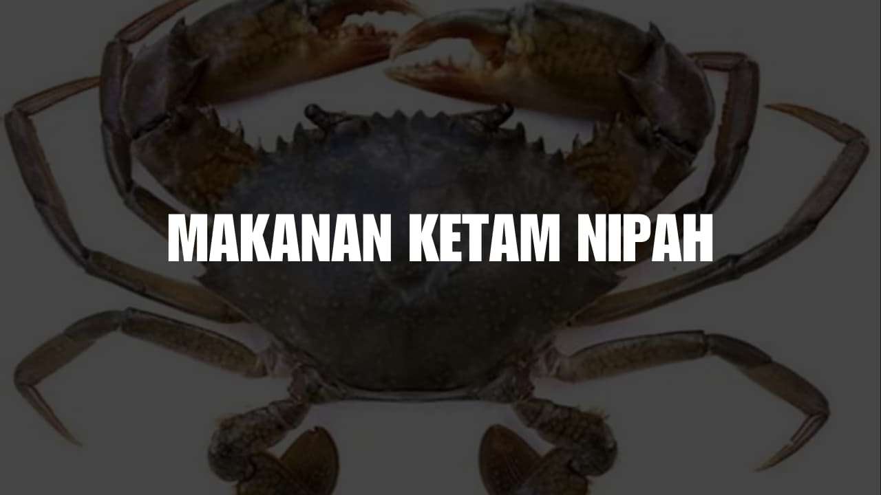 makanan ketam nipah