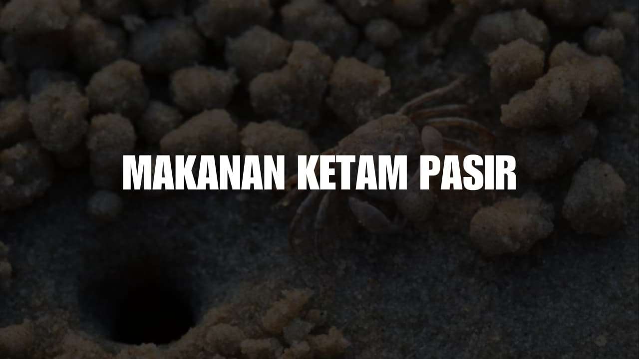 makanan ketam pasir